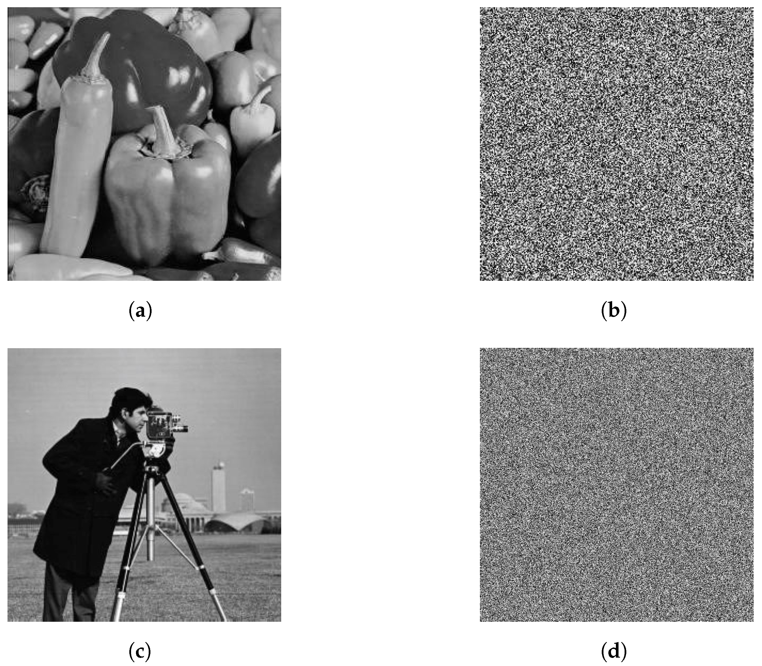 Electronics 14 02092 g006