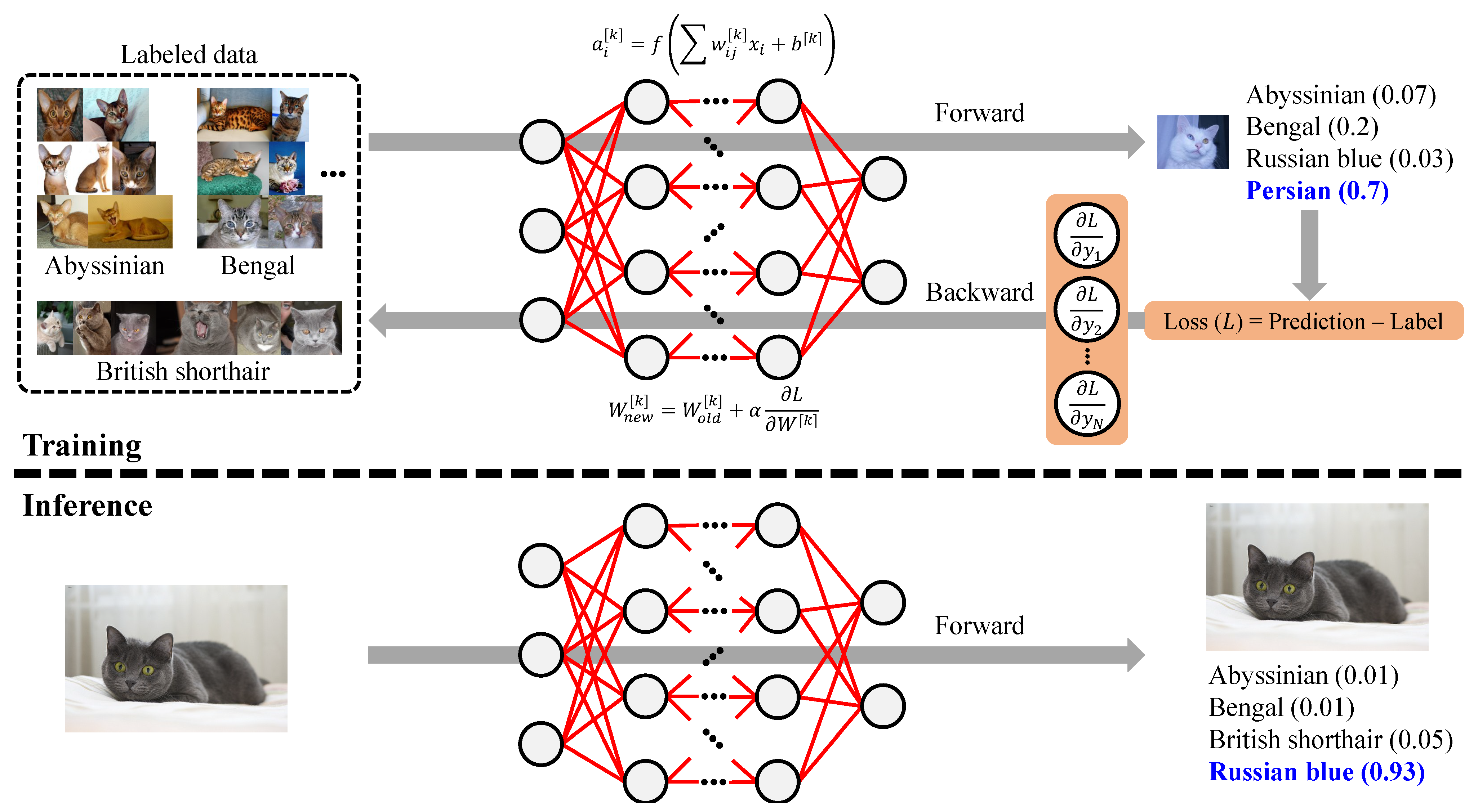 Electronics 14 02495 g002 Electronics 14 02495 g002