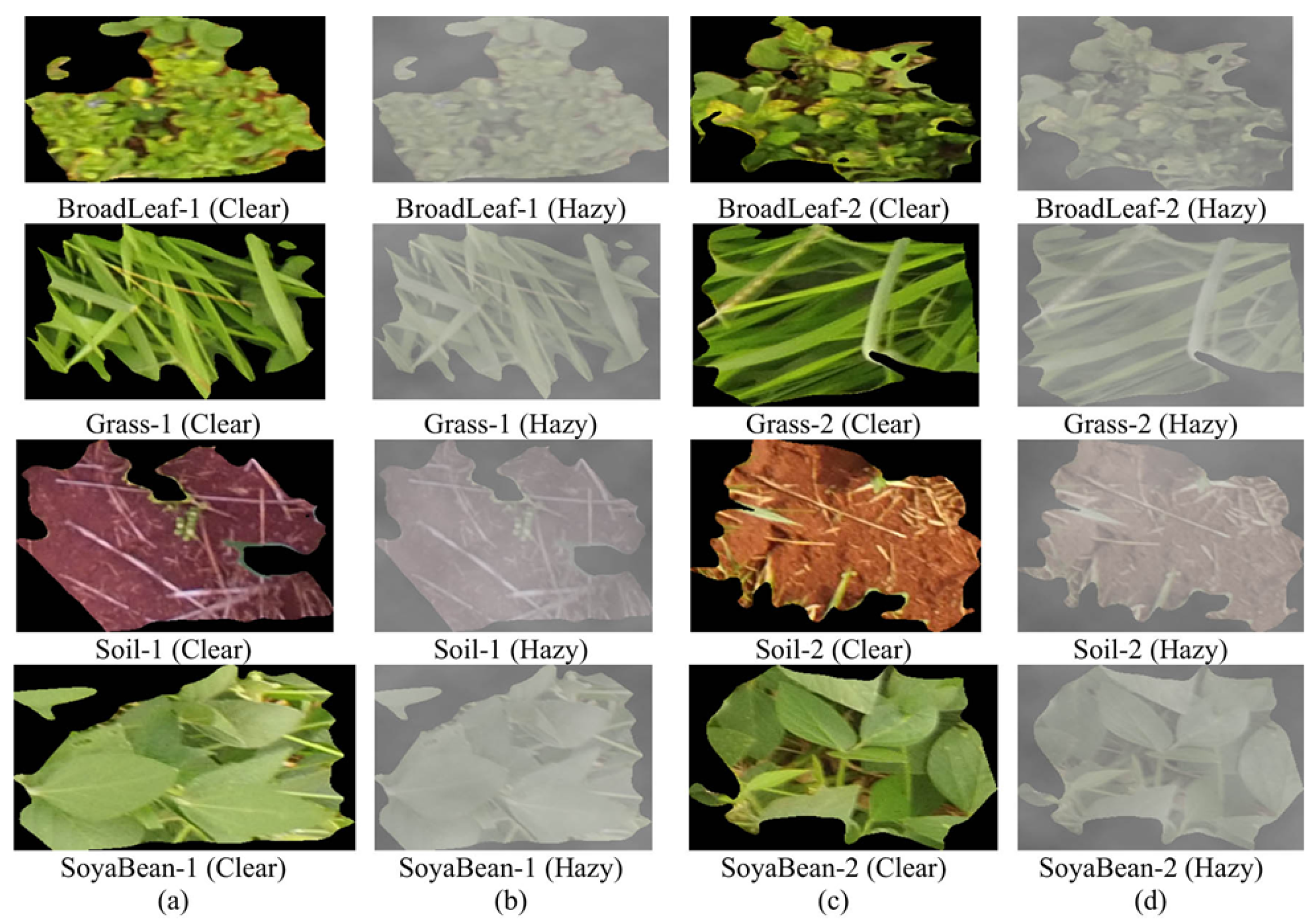 Electronics 14 02517 g010