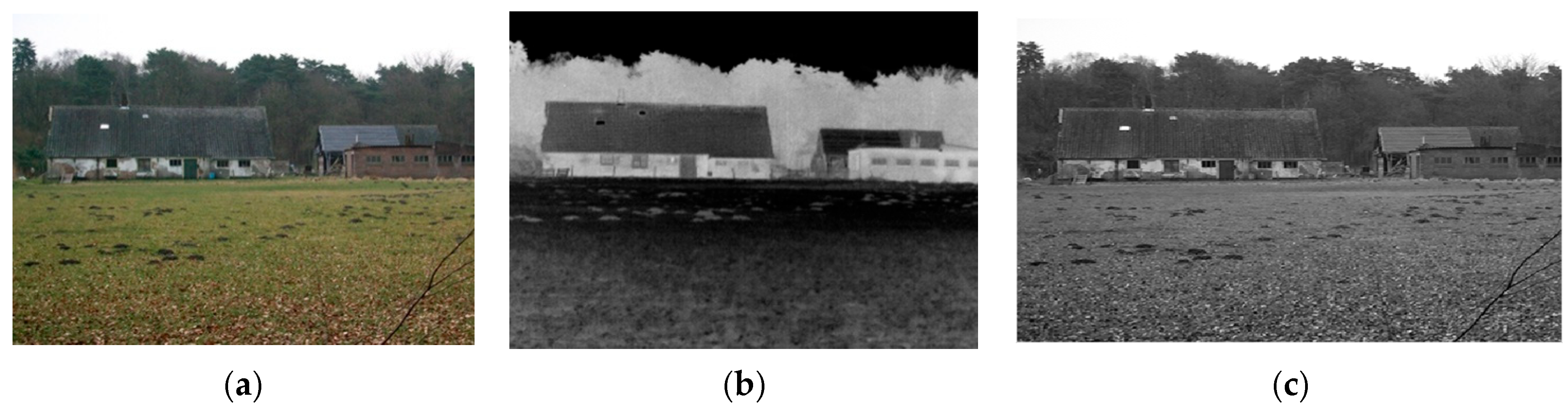 Electronics 14 02693 g008