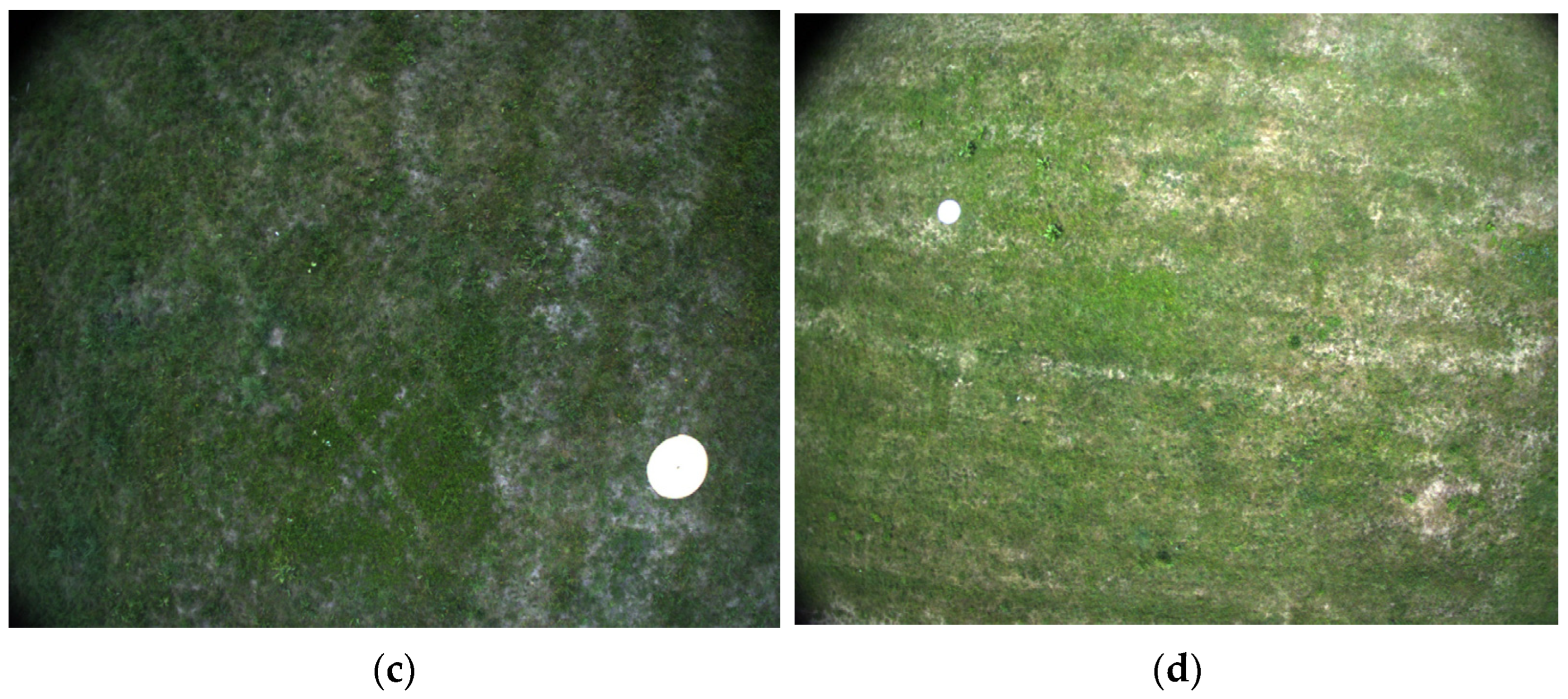 Electronics 14 02726 g008b