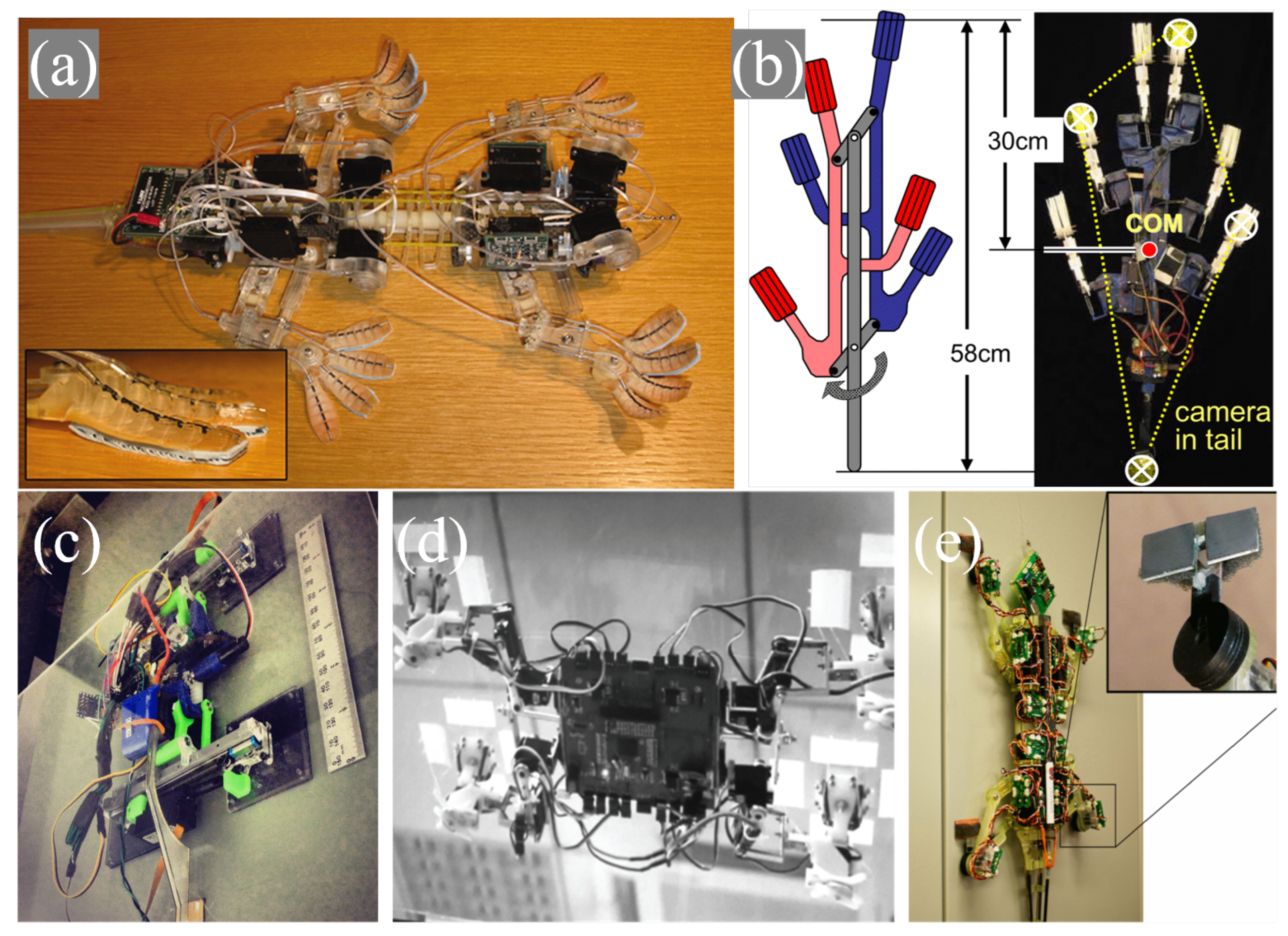 Advances in Gecko-Inspired Climbing Robots: From Biology to Robotics—A ...