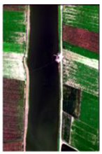 Electronics 14 02952 i021