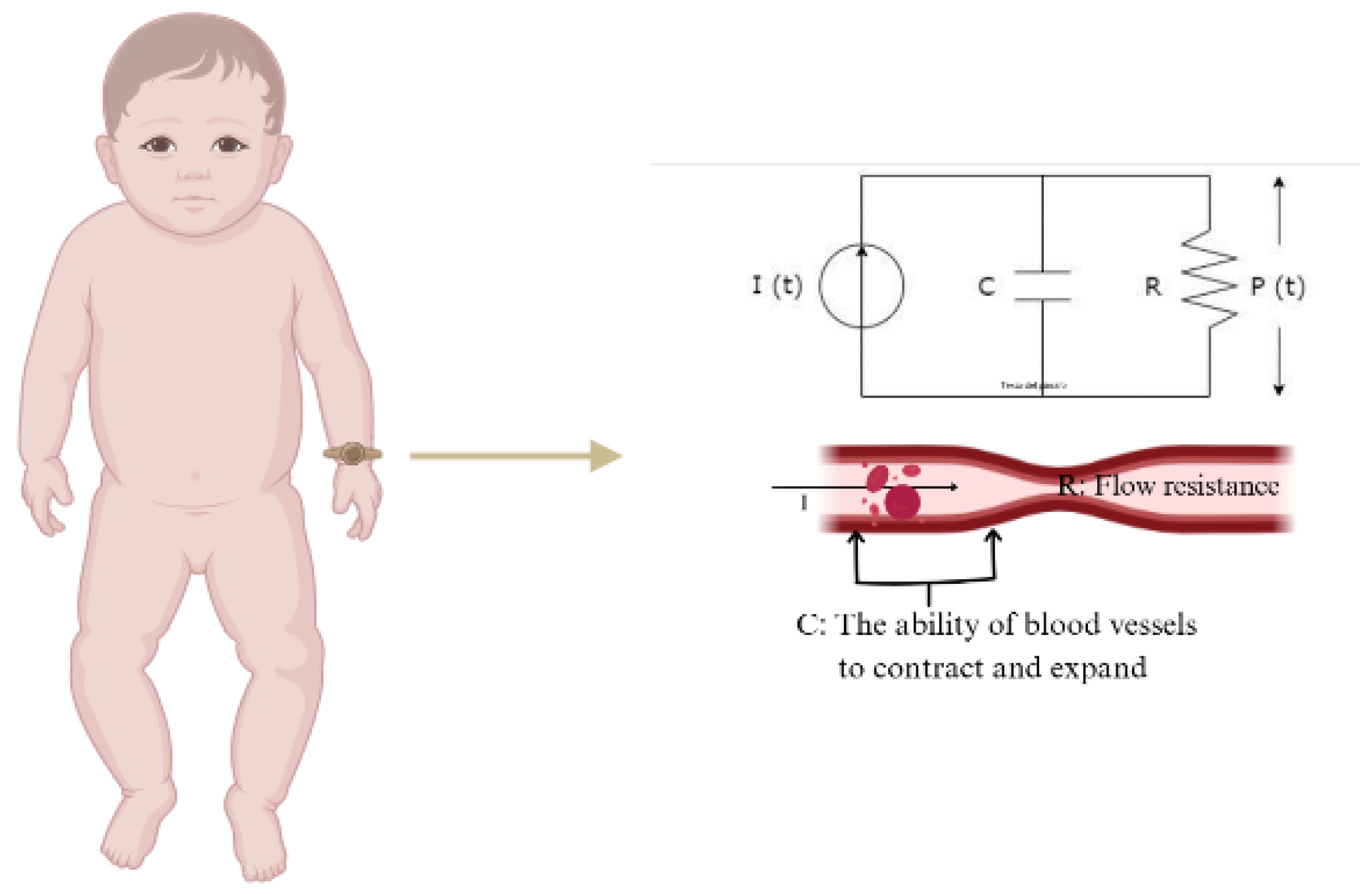 Electronics 14 03132 g001 Electronics 14 03132 g001
