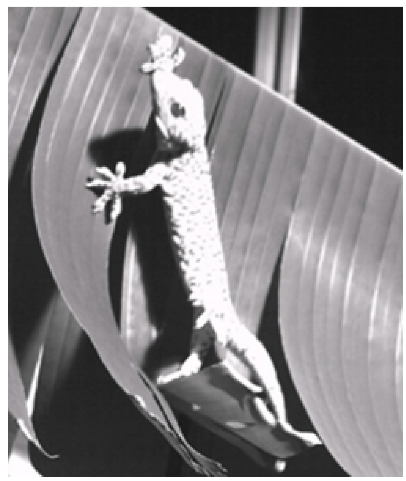 Electronics 14 03142 g001