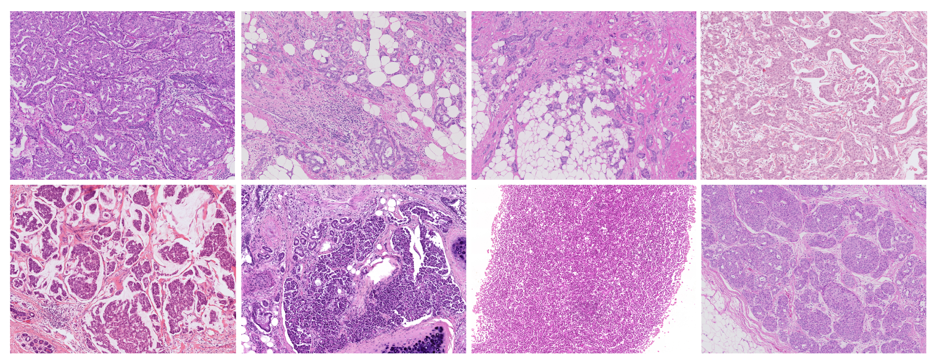 Electronics 14 03148 g004 Electronics 14 03148 g004