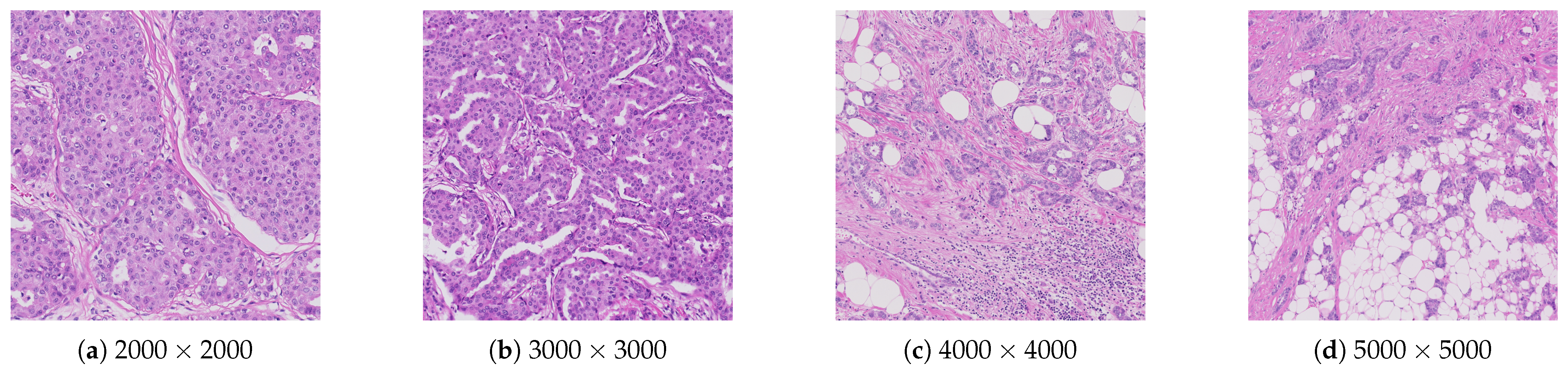 Electronics 14 03148 g006 Electronics 14 03148 g006