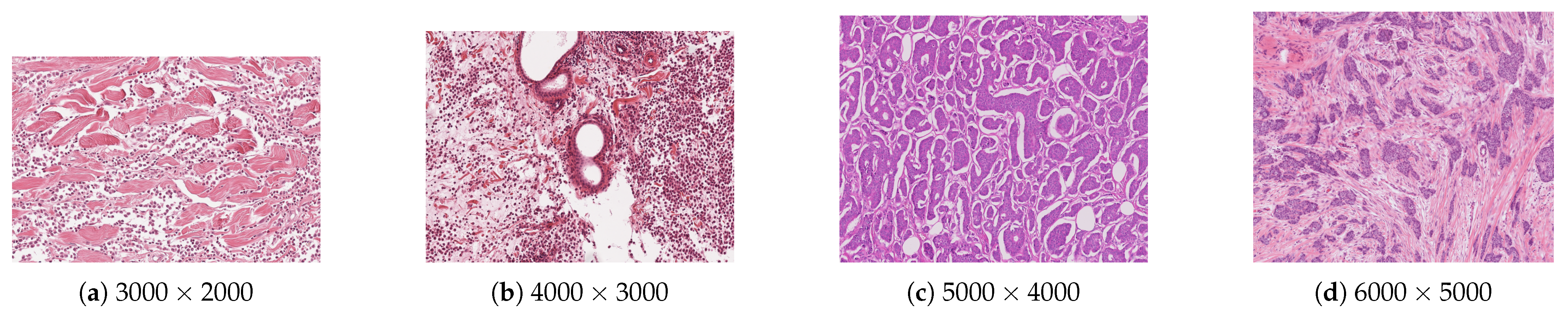 Electronics 14 03148 g007 Electronics 14 03148 g007