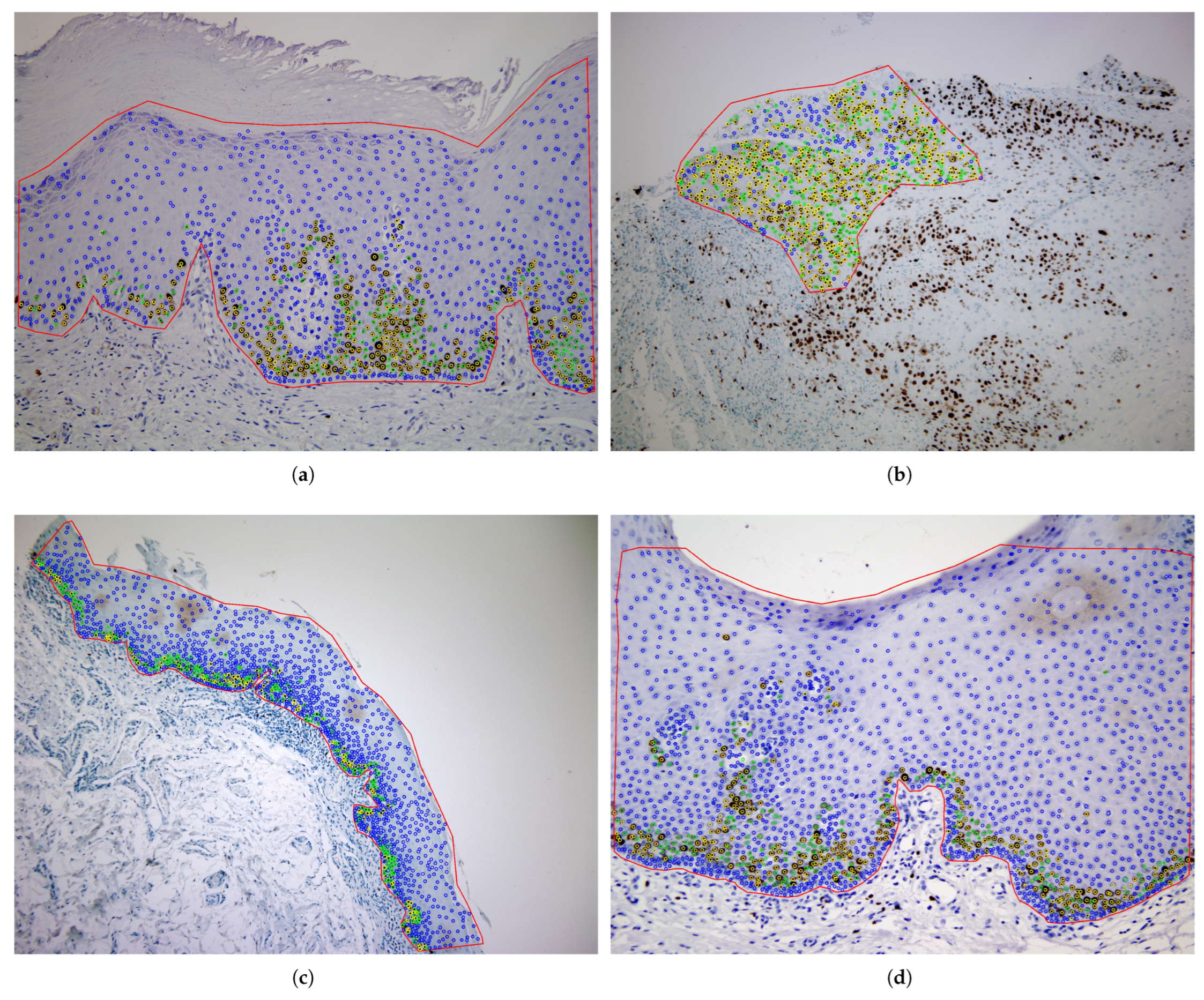 Electronics 14 03705 g002