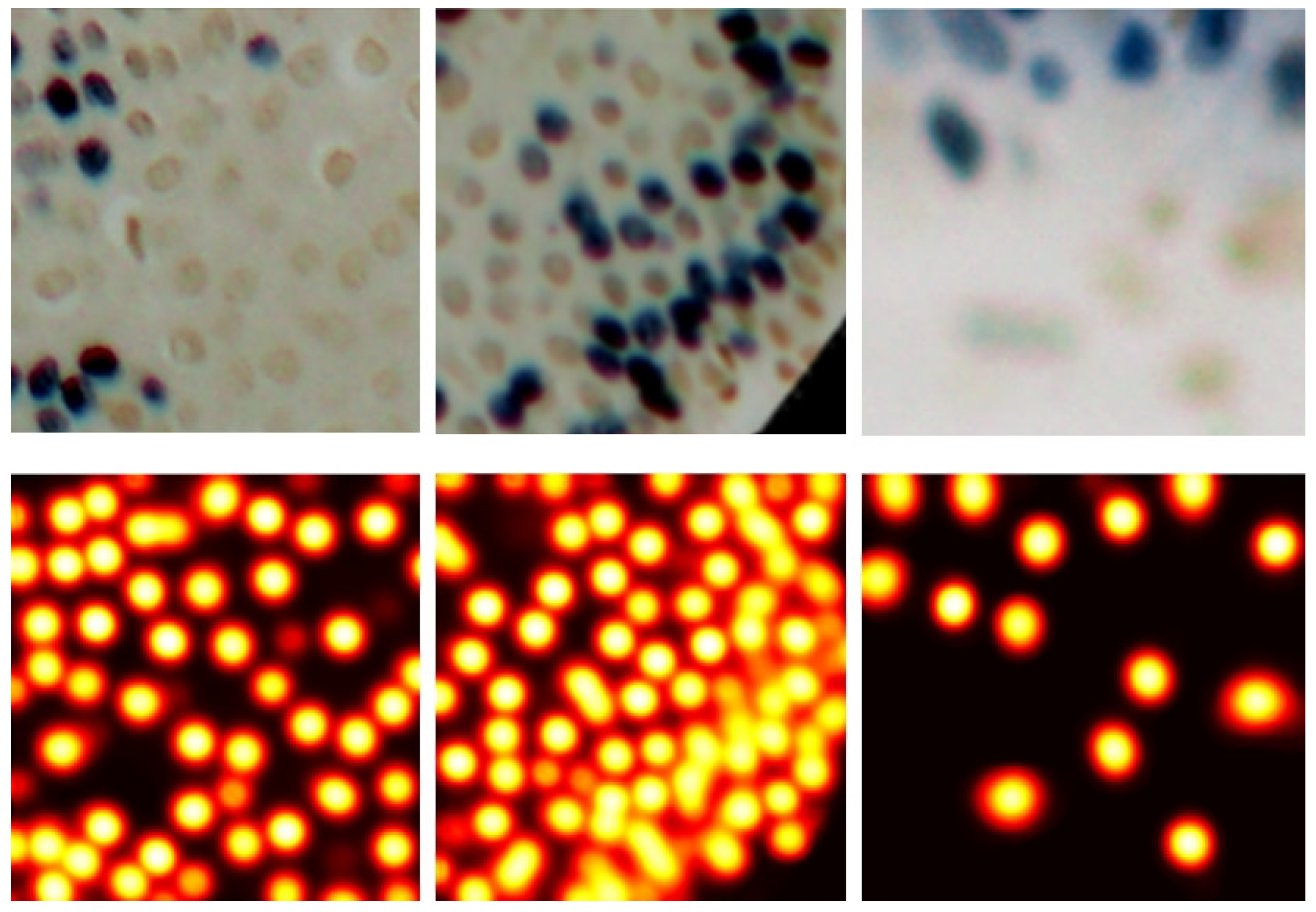 Electronics 14 03705 g005