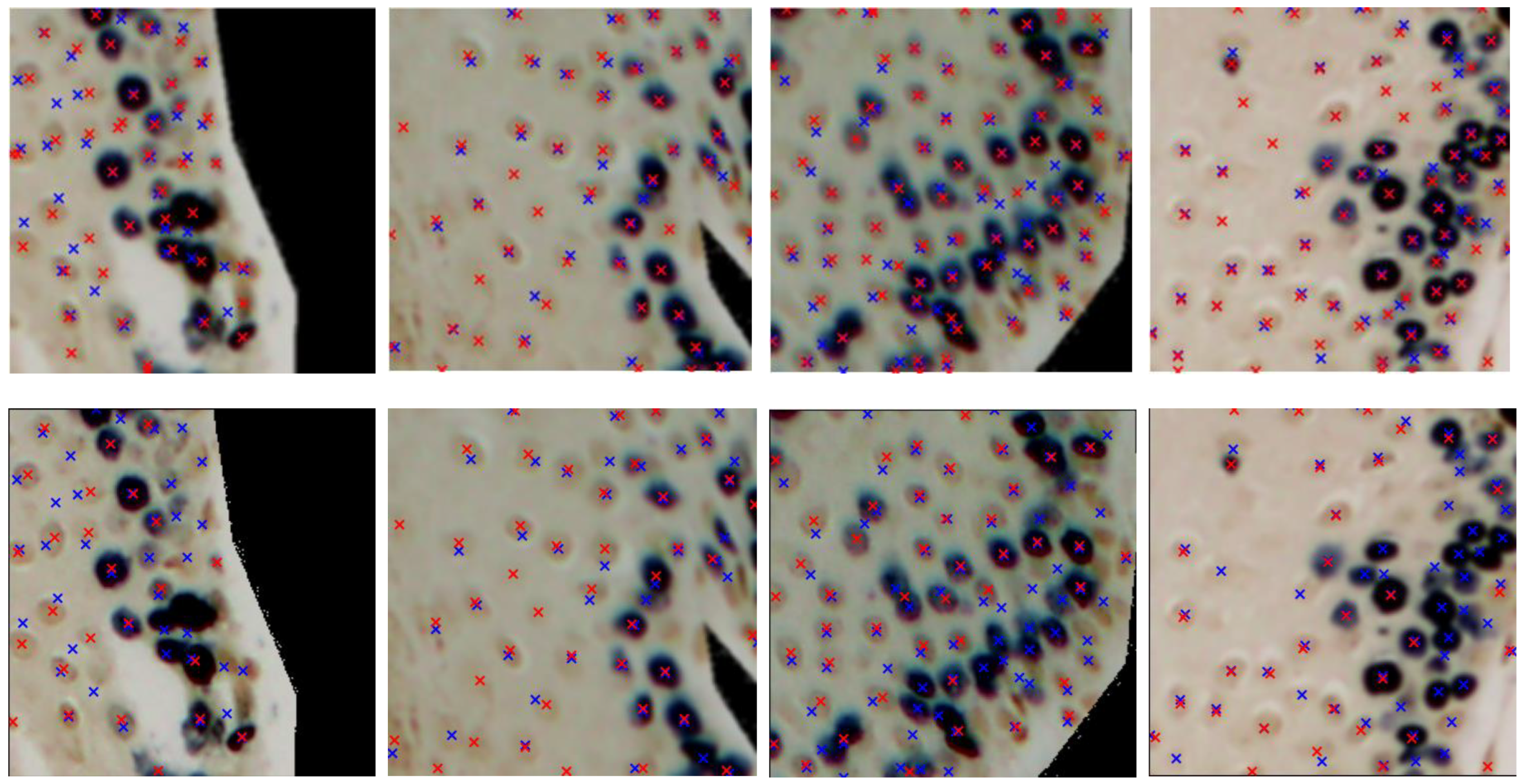 Electronics 14 03705 g007