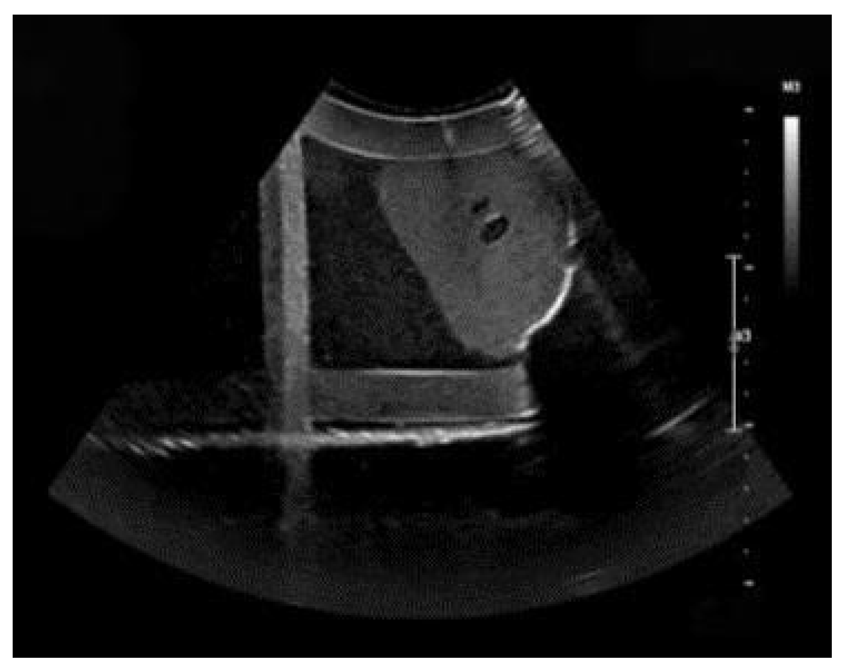 Electronics 14 03709 g012