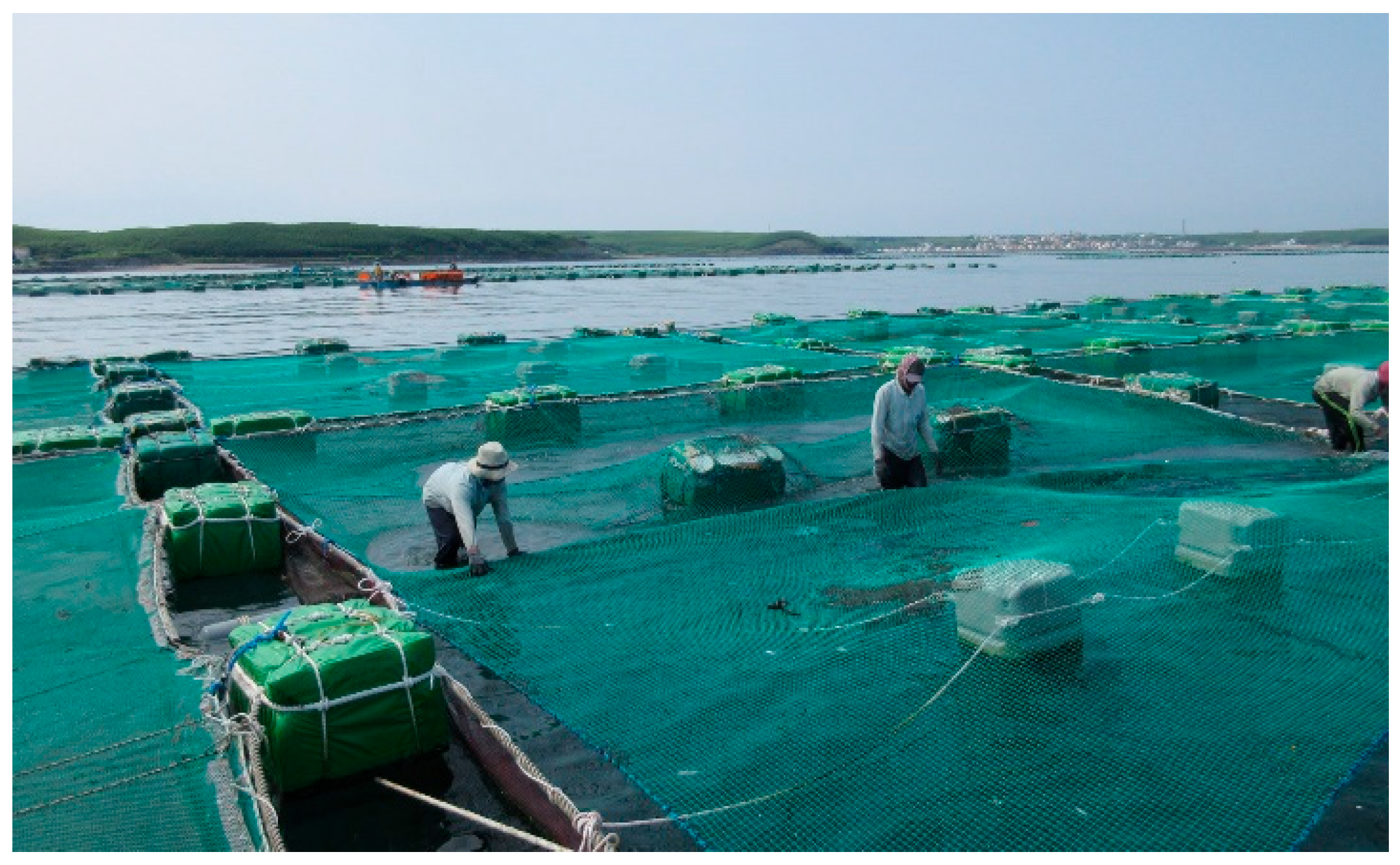 Electronics 14 03949 g001