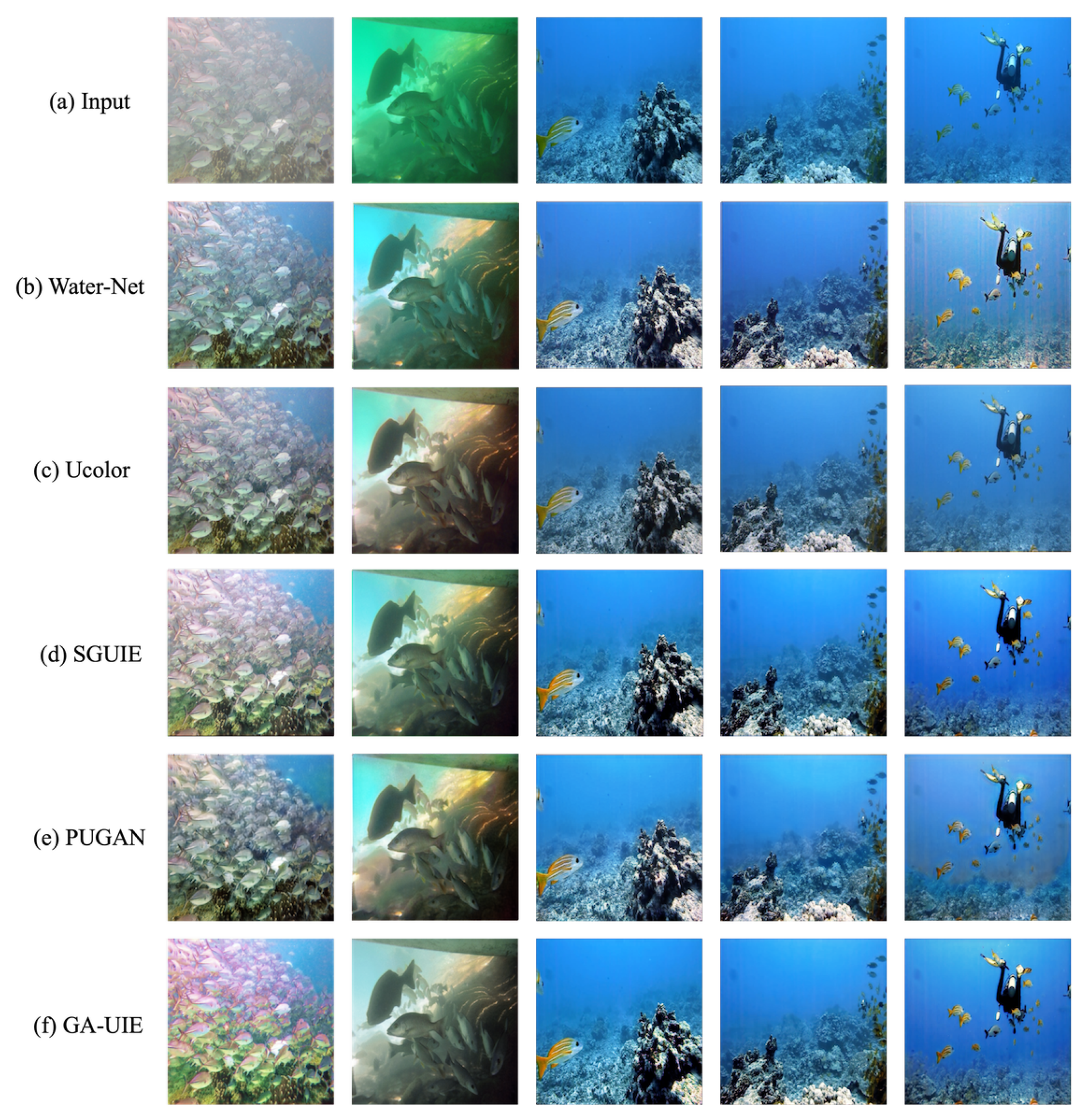 Electronics 14 04079 g006