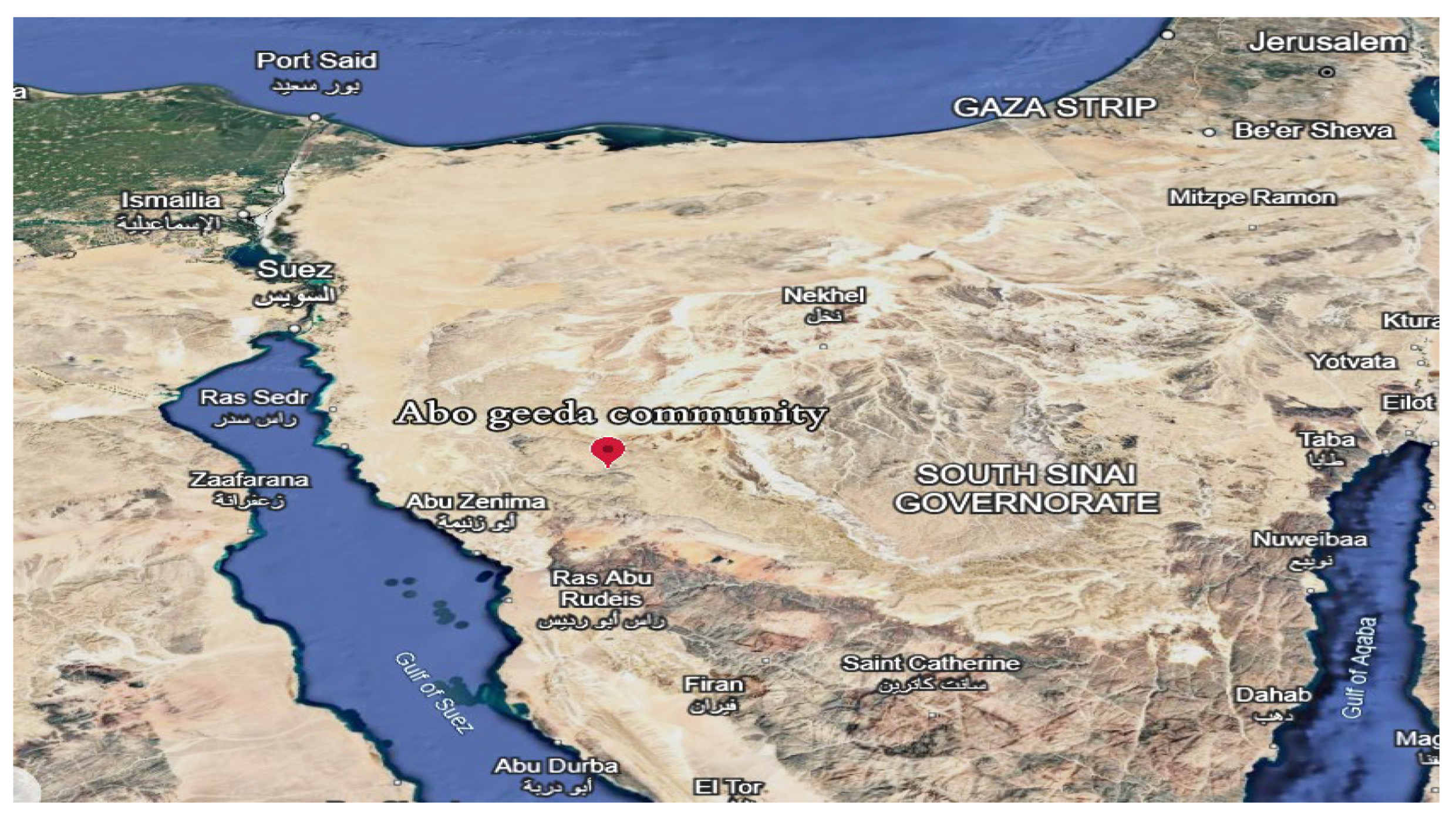 Electronics 14 04141 g003