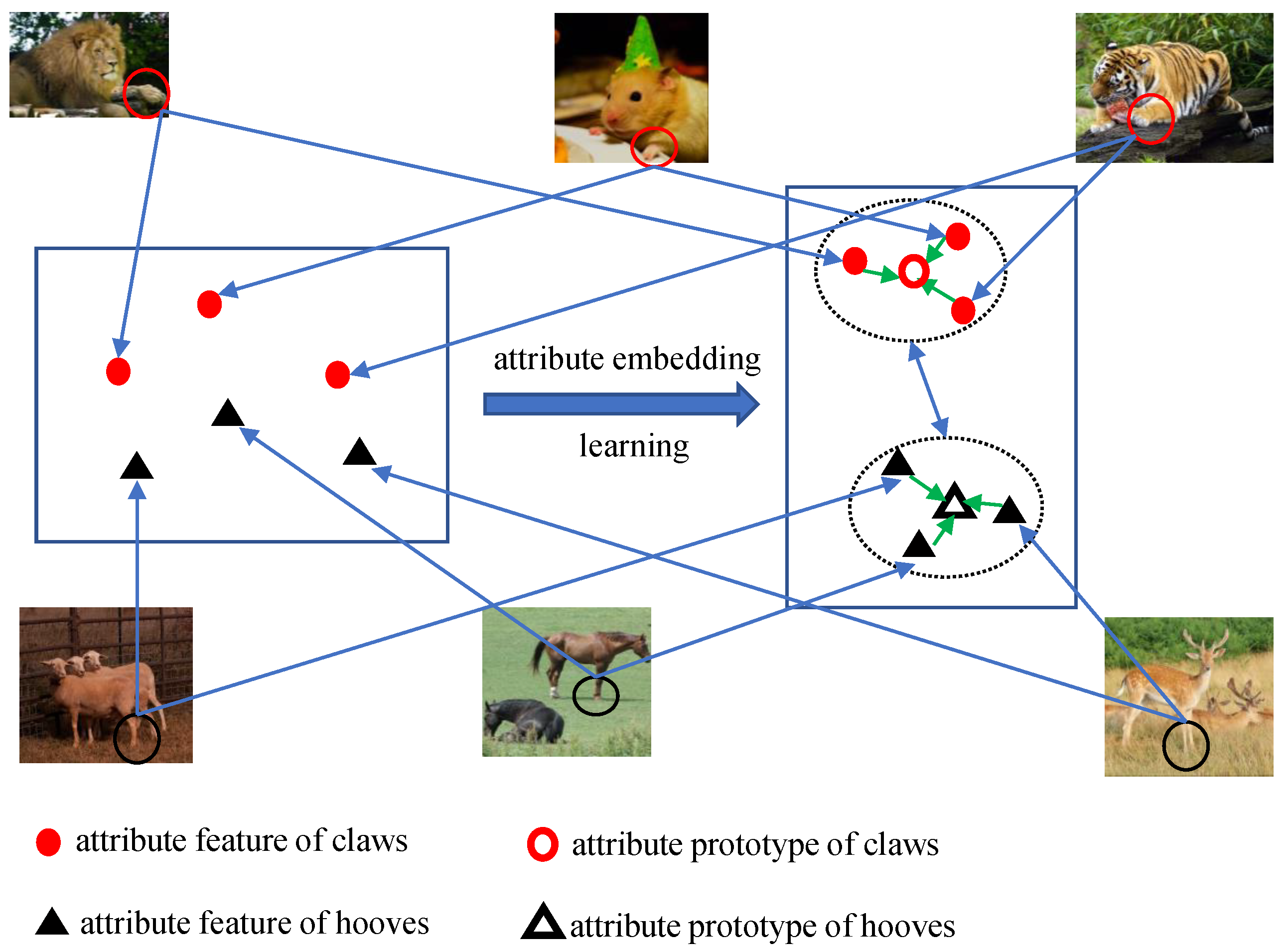 Electronics 14 04341 g001