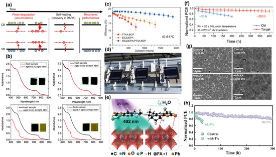 Electronics 14 04428 g008