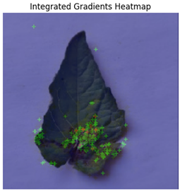 Electronics 14 04762 i003 Electronics 14 04762 i003