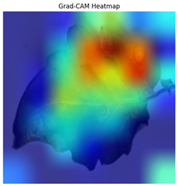 Electronics 14 04762 i006 Electronics 14 04762 i006