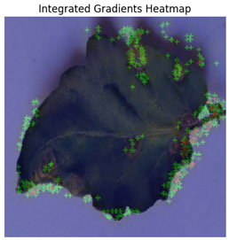 Electronics 14 04762 i007 Electronics 14 04762 i007