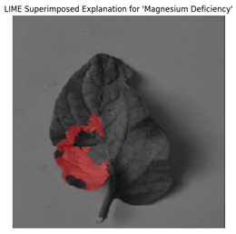 Electronics 14 04762 i012 Electronics 14 04762 i012