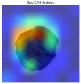 Electronics 14 04762 i014 Electronics 14 04762 i014