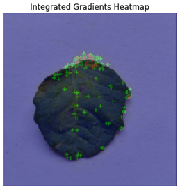 Electronics 14 04762 i015 Electronics 14 04762 i015
