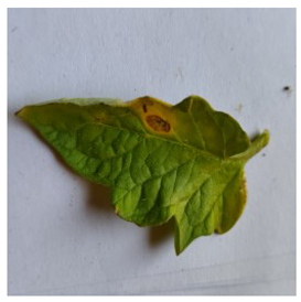 Electronics 14 04762 i017 Electronics 14 04762 i017