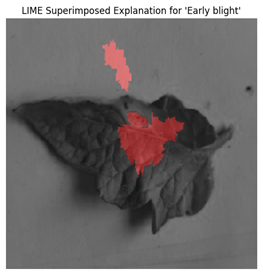 Electronics 14 04762 i020 Electronics 14 04762 i020