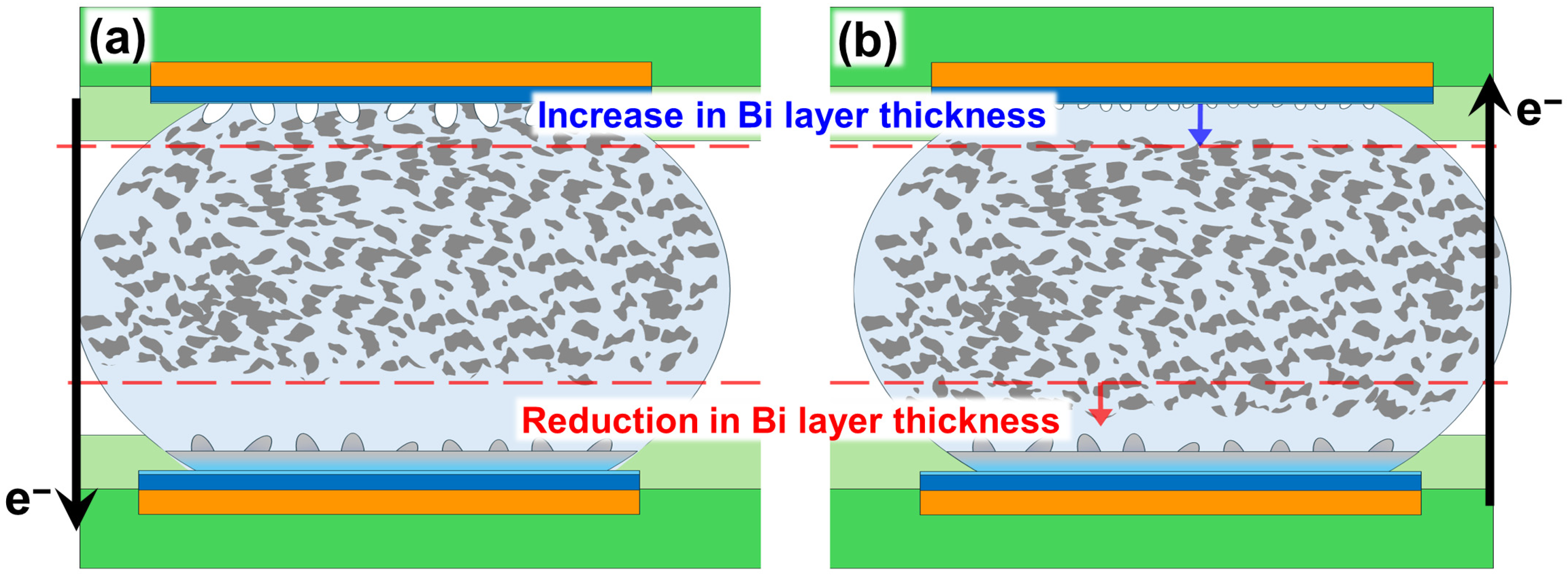 Electronics 14 04895 g003