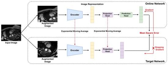 Architecture of the BYOL self-supervised learning framework. Two augmented views of the same image are processed by online and target networks, with the target updated via exponential moving average (EMA).