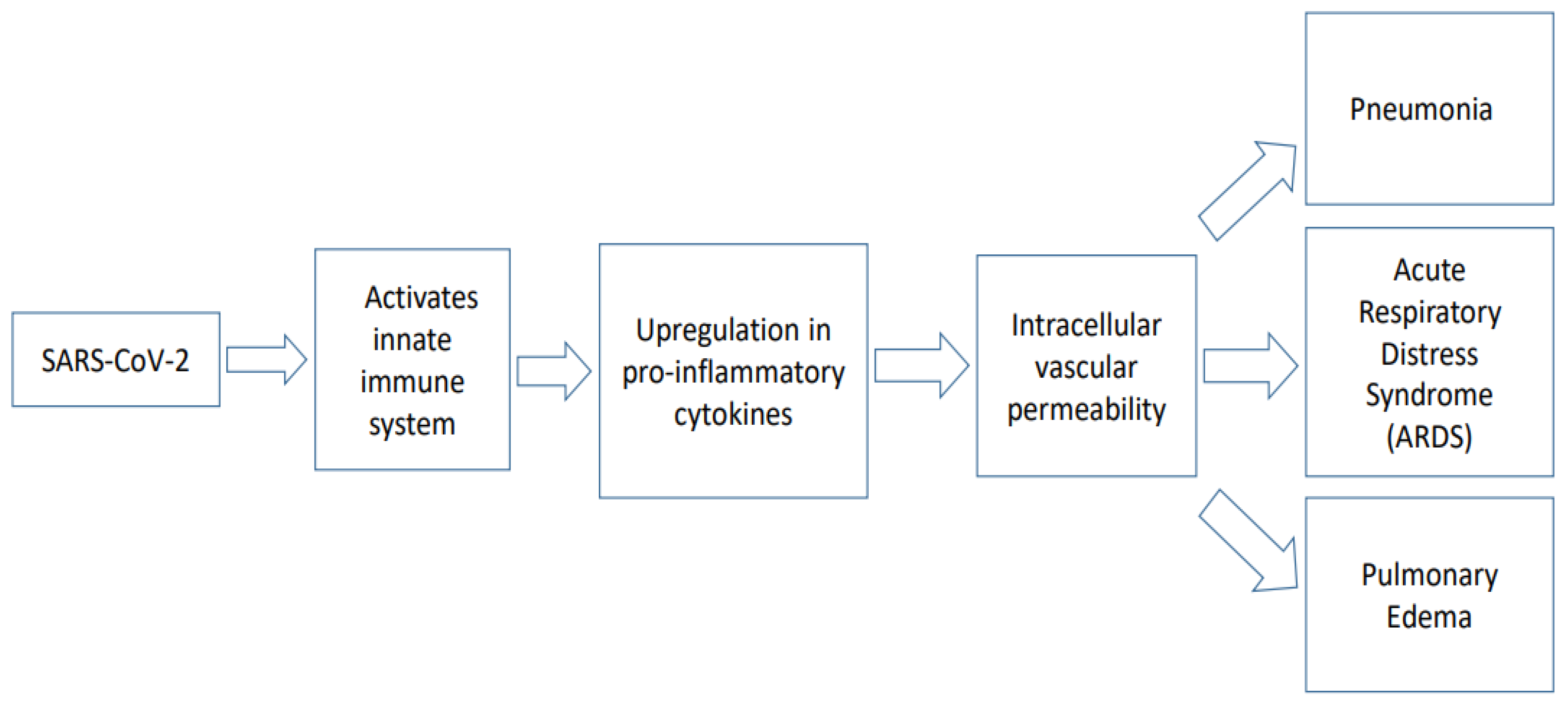 Encyclopedia 01 00028 g001