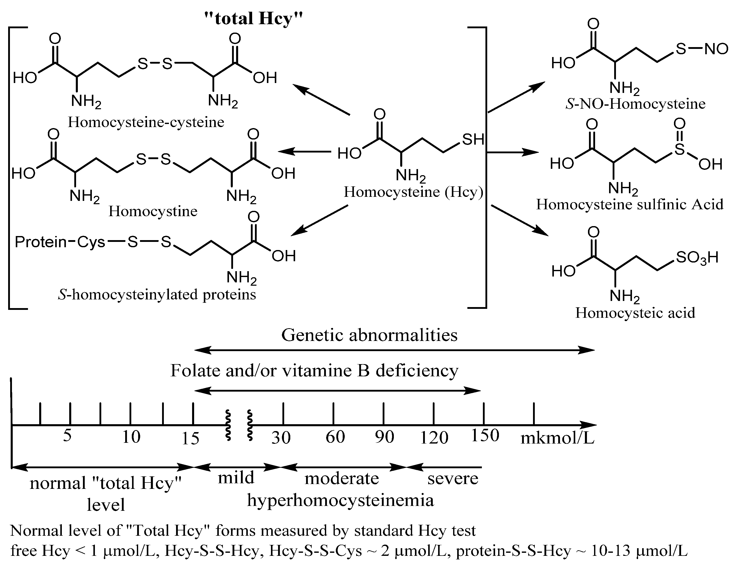 Encyclopedia 01 00037 g002