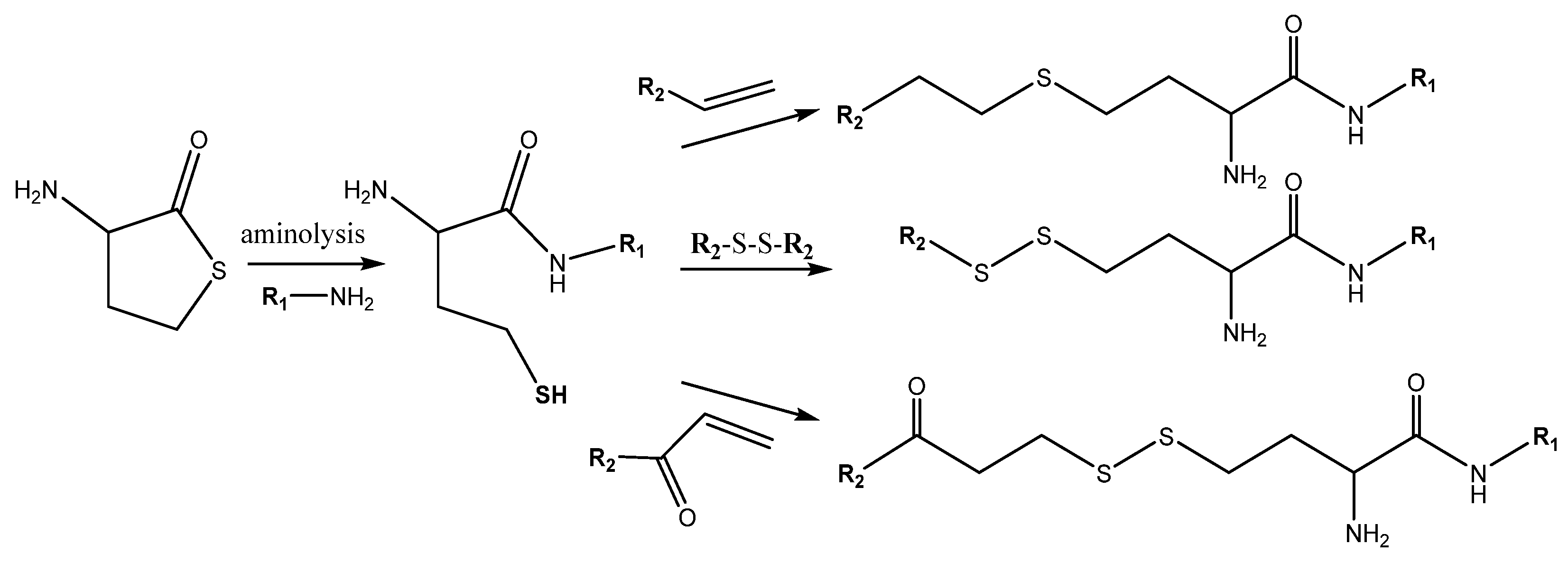 Encyclopedia 01 00037 g006