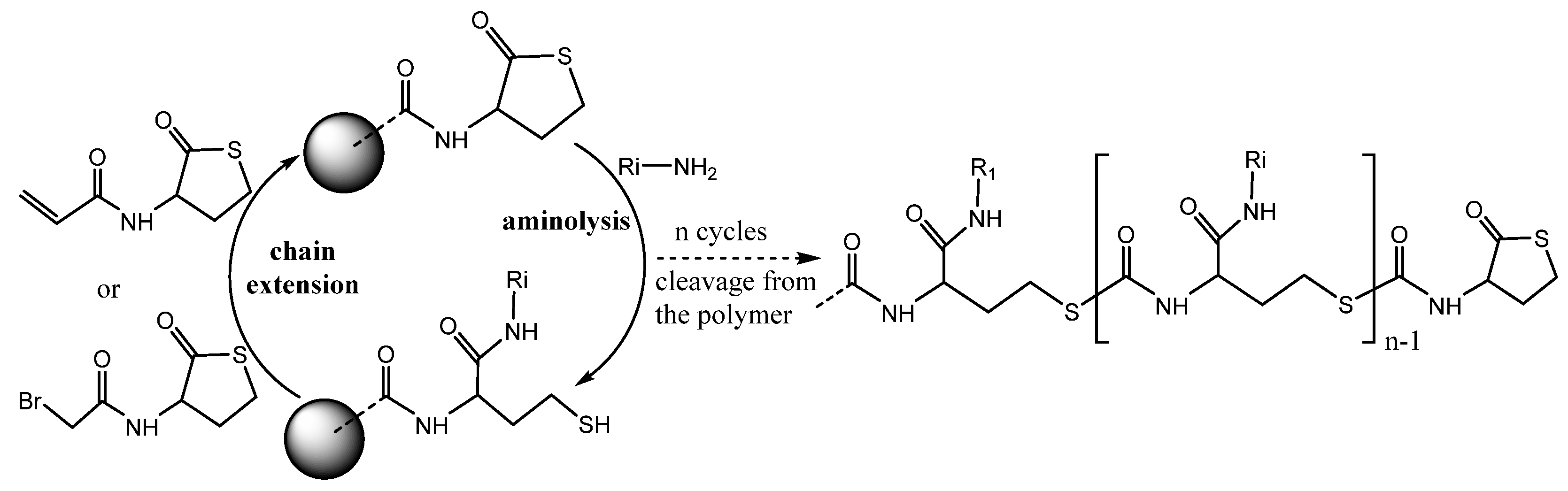 Encyclopedia 01 00037 g007