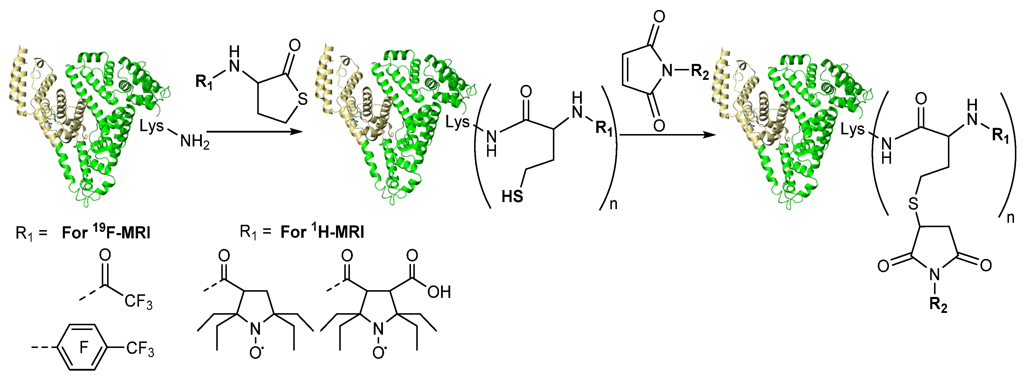 Encyclopedia 01 00037 g008