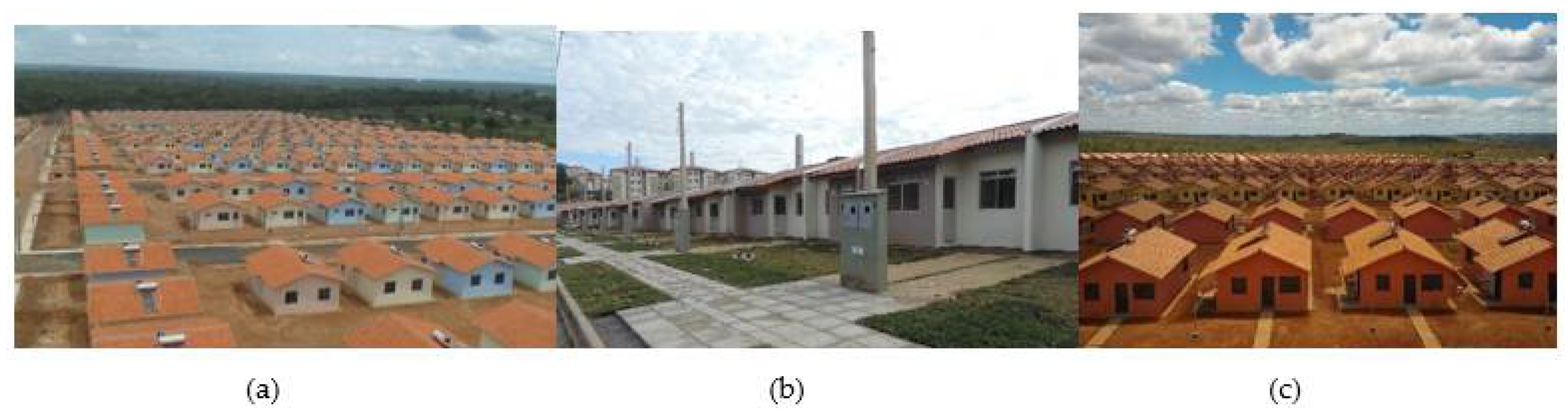 Encyclopedia 01 00049 g001