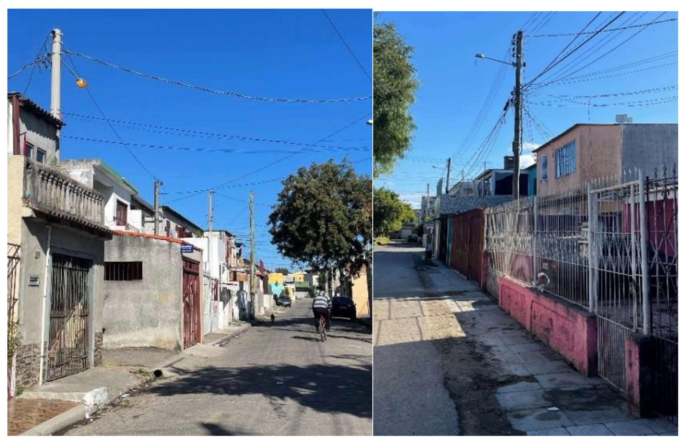 Encyclopedia 01 00049 g002