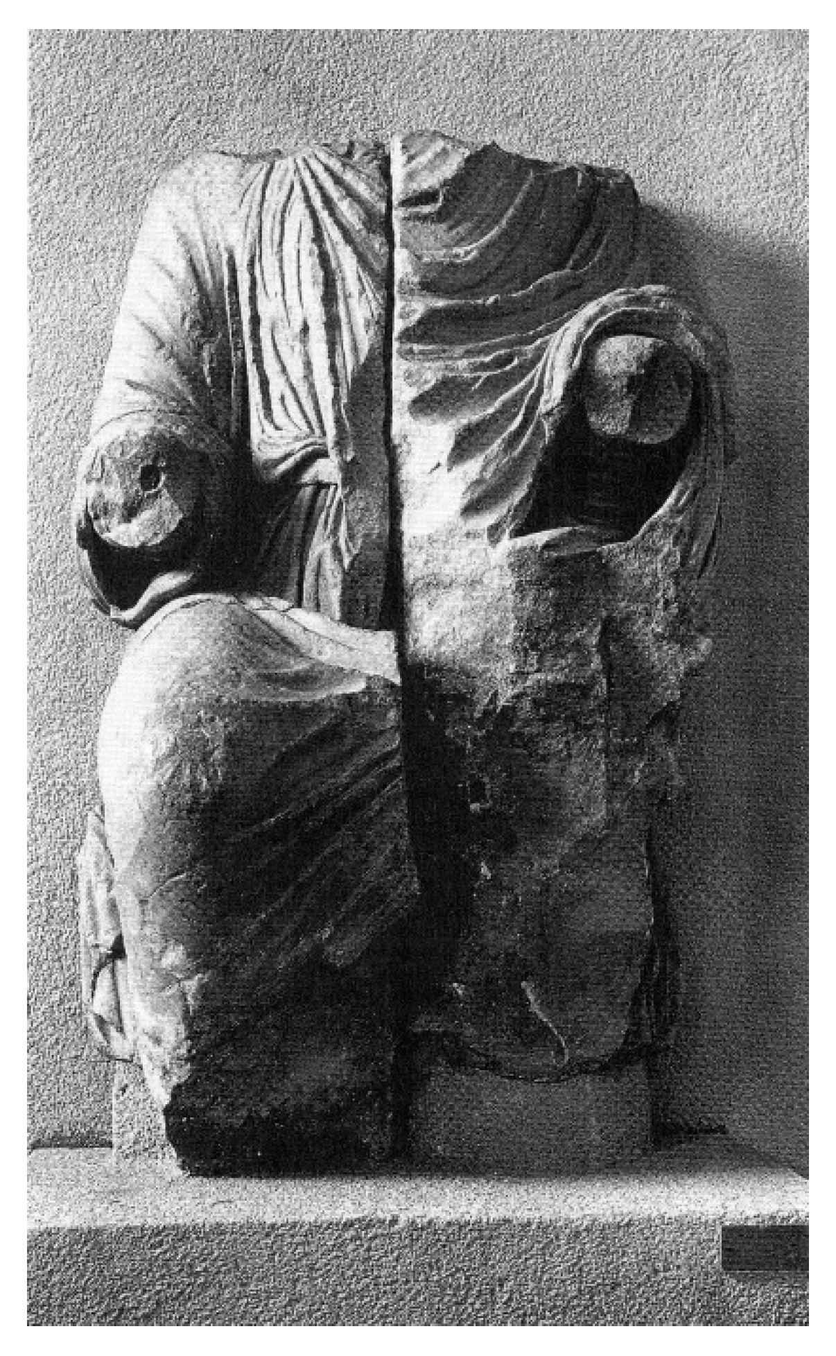 Encyclopedia 01 00055 g005