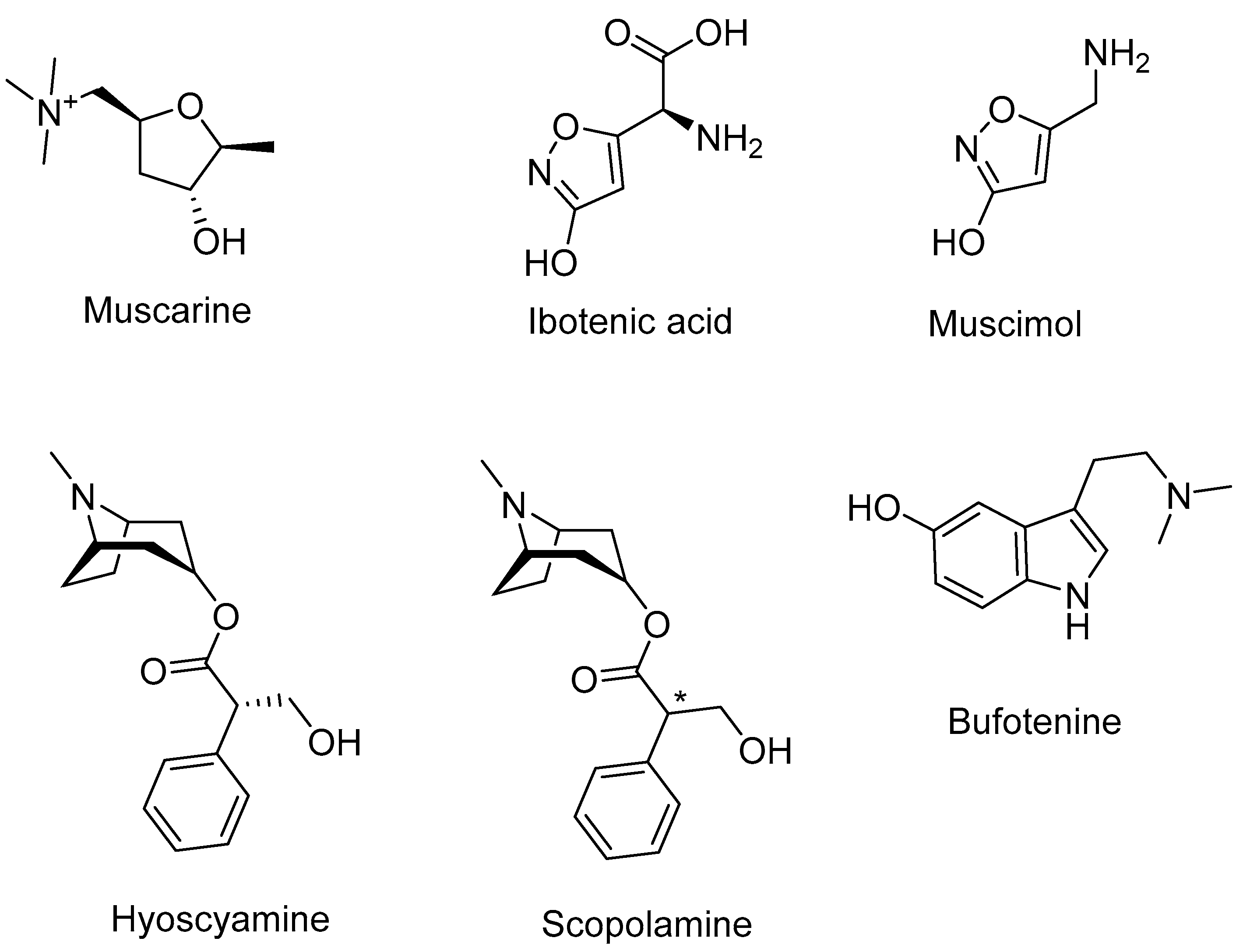 Encyclopedia 01 00069 g002