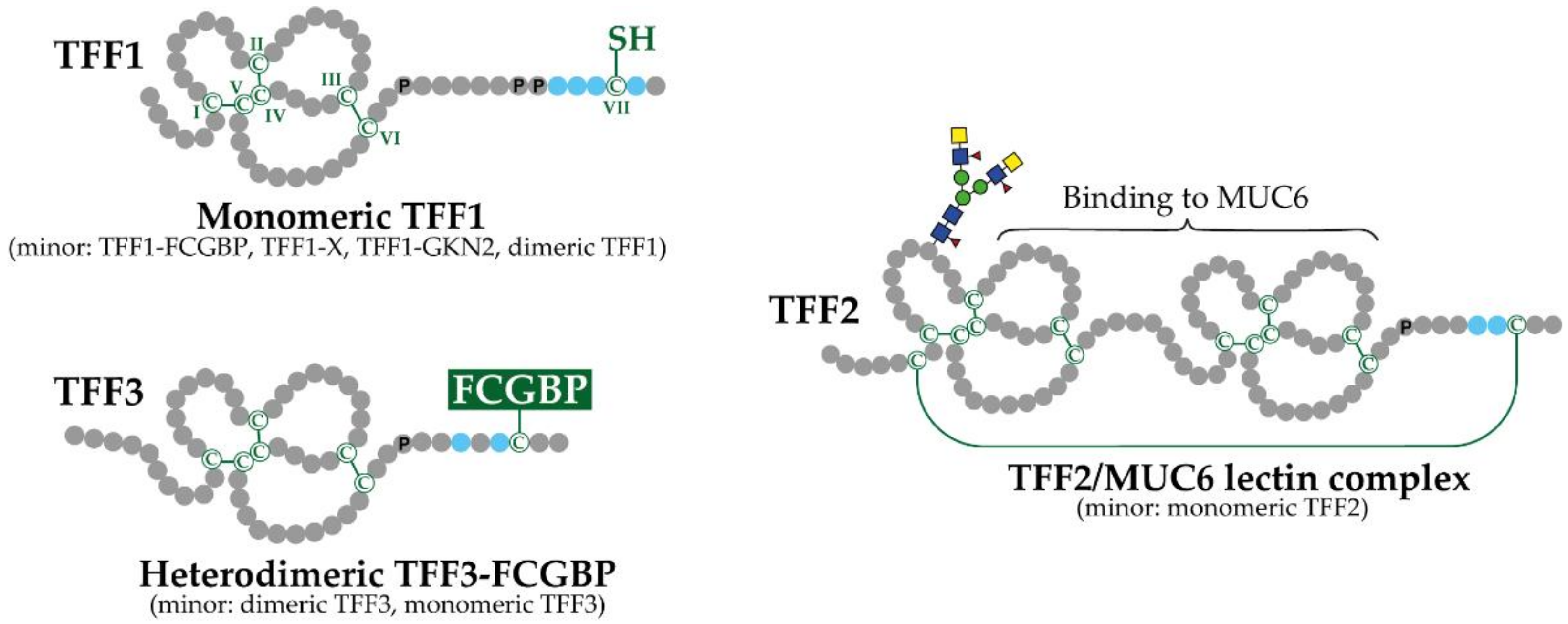 Encyclopedia 01 00074 g001