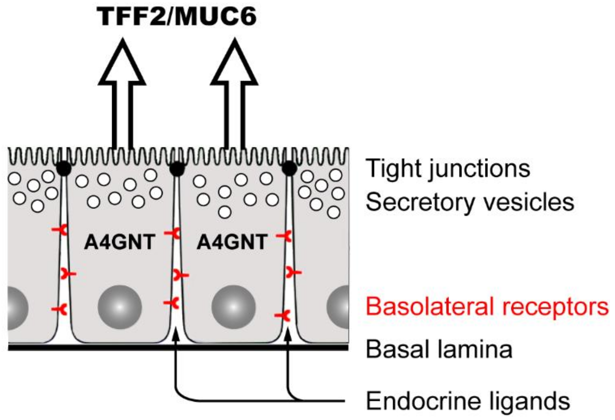 Encyclopedia 01 00074 g003