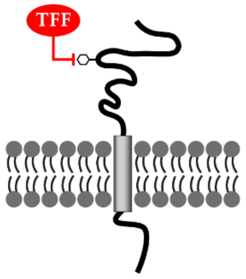Encyclopedia 01 00074 g004