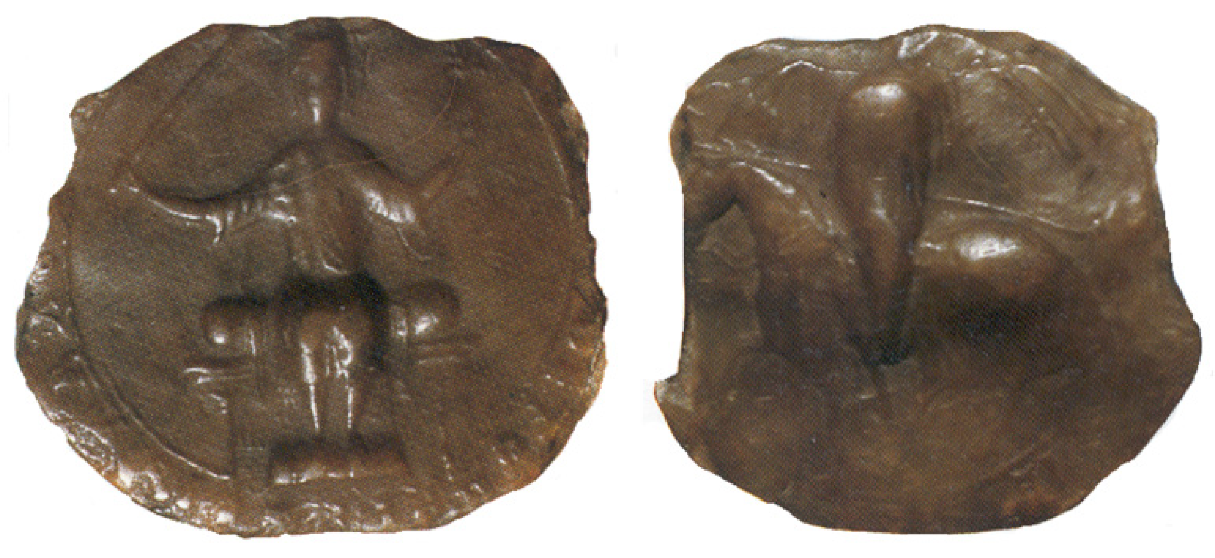 Encyclopedia 01 00087 g002