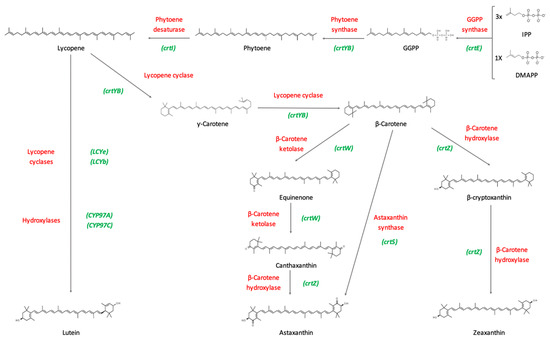 Encyclopedia 01 00093 g003