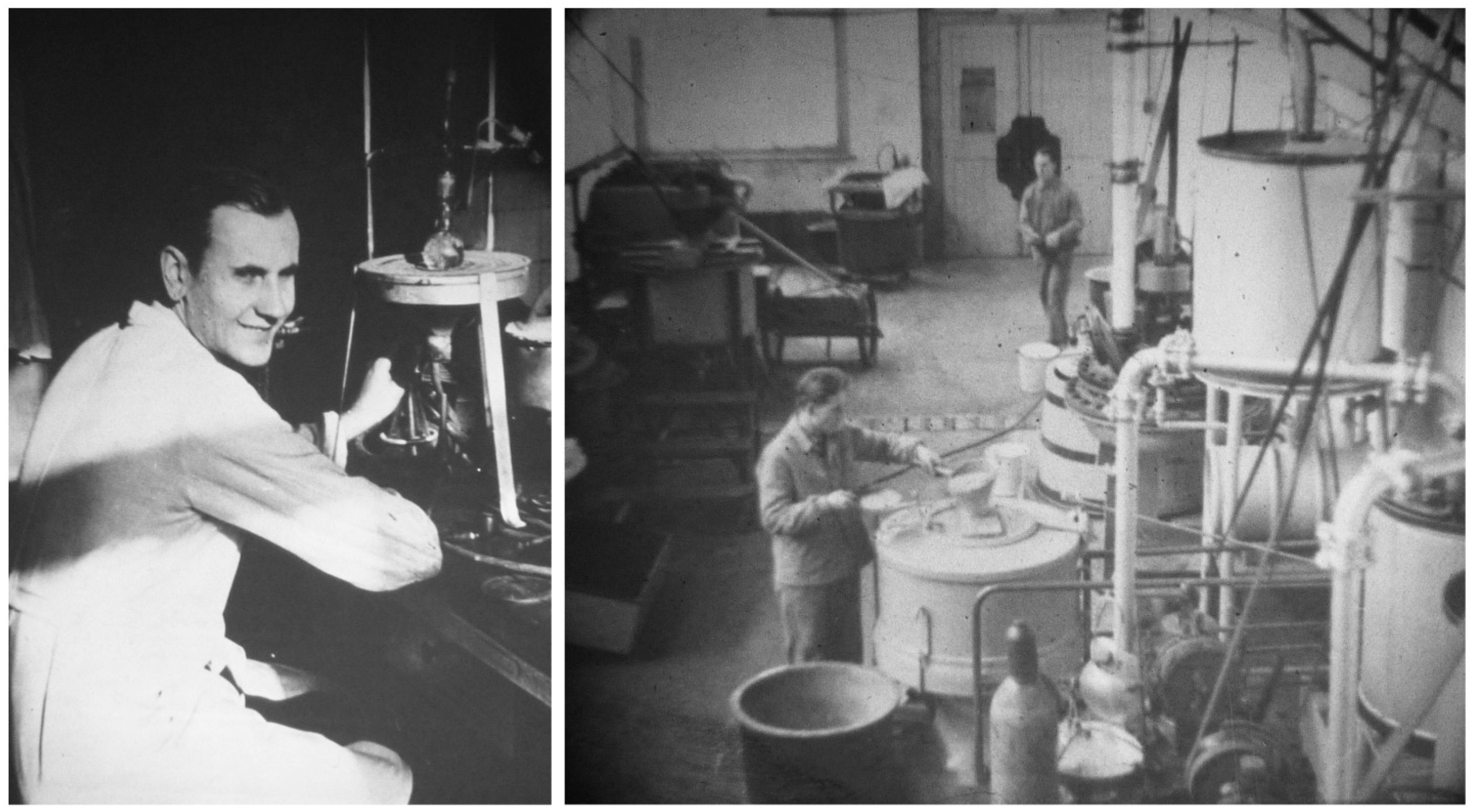 Encyclopedia 01 00096 g002