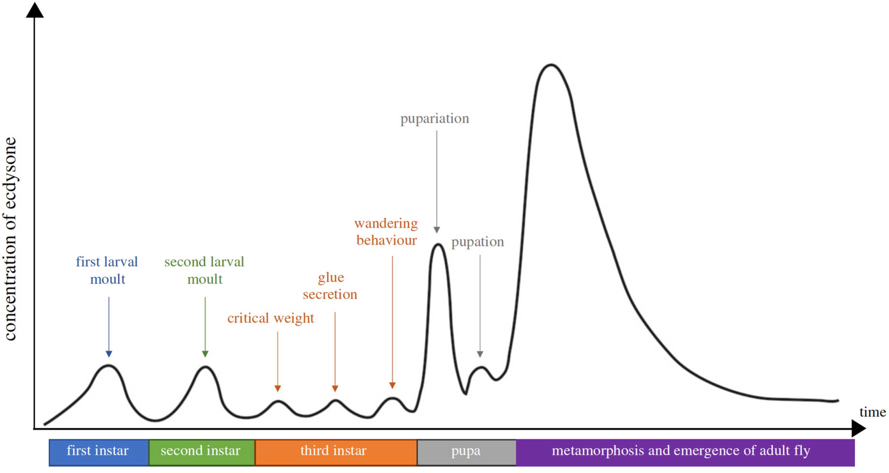 Encyclopedia 01 00096 g003