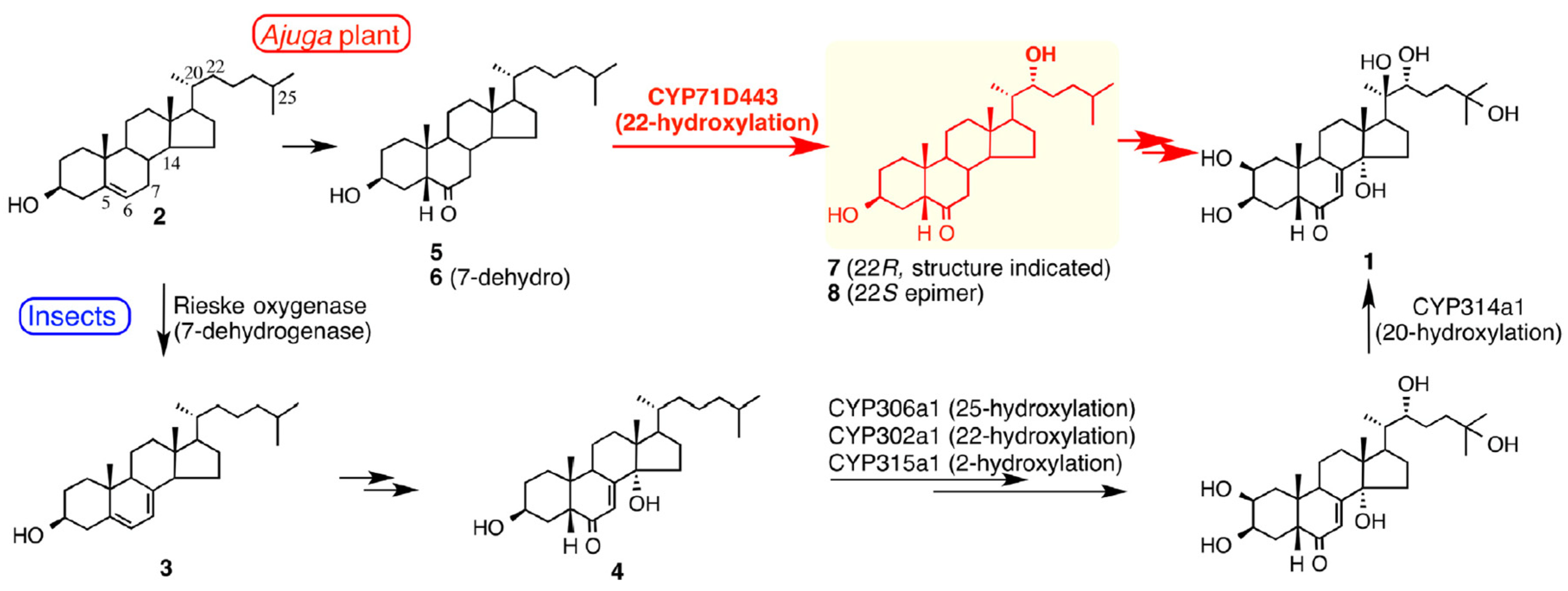 Encyclopedia 01 00096 g007