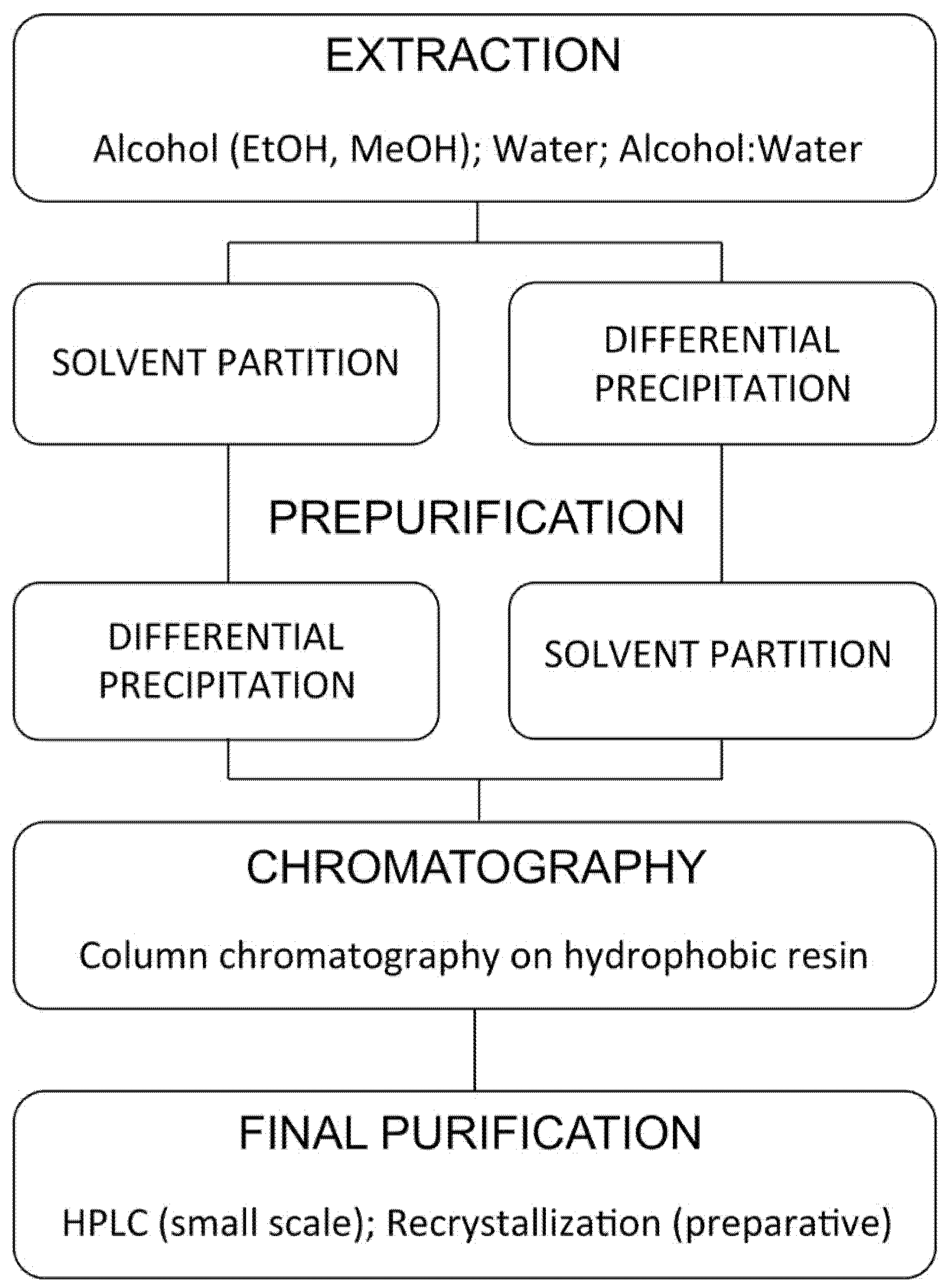 Encyclopedia 01 00096 g010