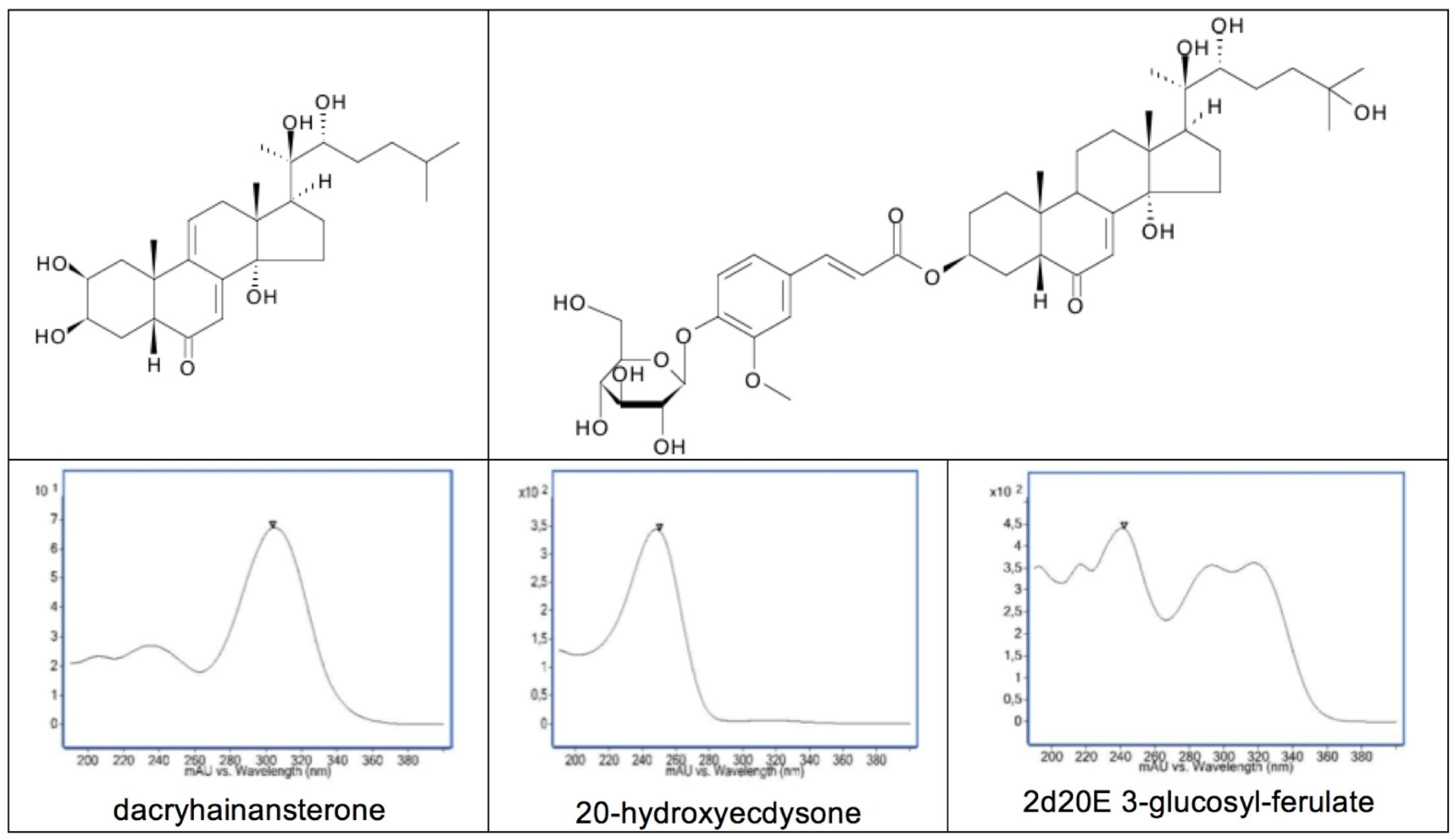 Encyclopedia 01 00096 g011